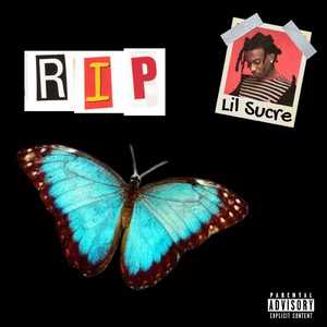 羞辱调教视频网站
